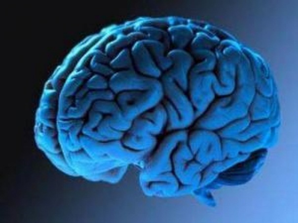 Вьетнамские ученые нашли новый смертельный для мозга вирус World News FederalPress